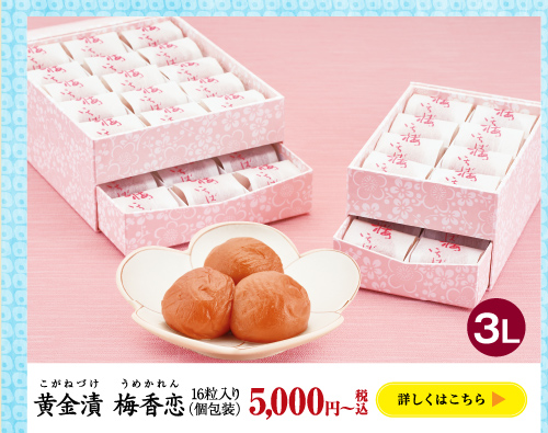 黄金漬　梅香恋