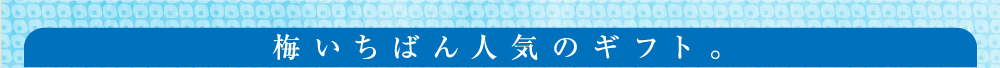 梅いちばん人気のギフト。