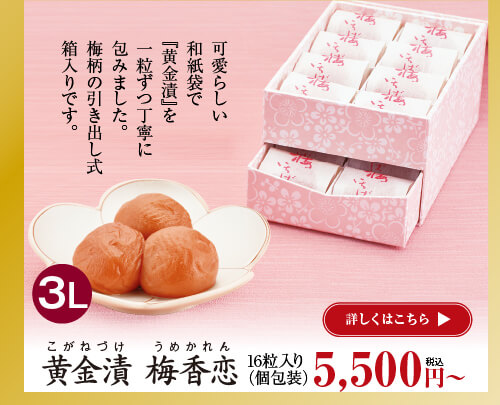 黄金漬　梅香恋