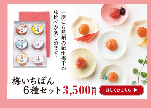 梅いちばん6種セット　3,000円
