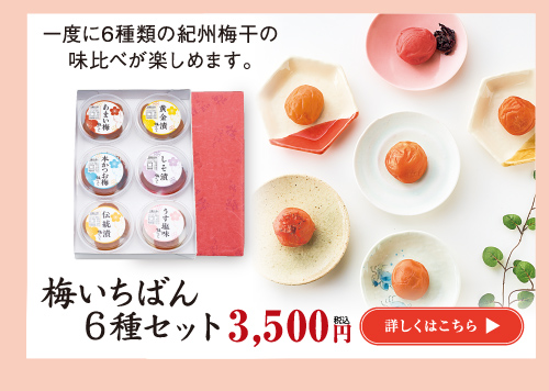 梅いちばん6種セット3,500円　詳しくはこちら