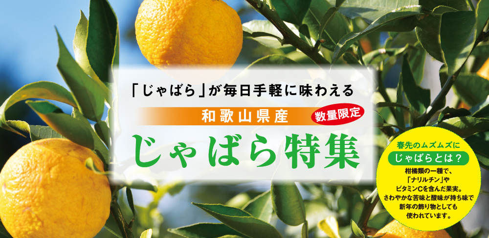 数量限定和歌山県産じゃばら特集