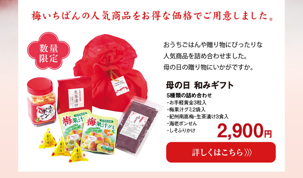 梅いちばんの人気商品をお得な価格でご用意しました　母の日和みギフト　2,900円