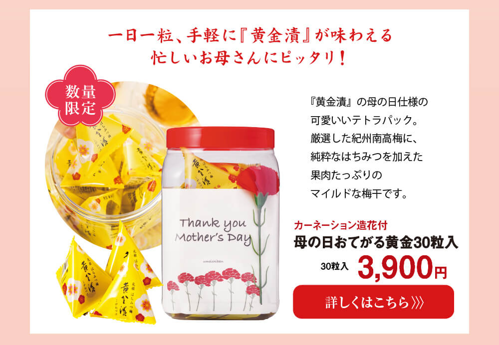 一日一粒、手軽に『黄金漬』が味わえる　忙しいお母さんにピッタリ！　母の日おてがる黄金30粒入　3,900円