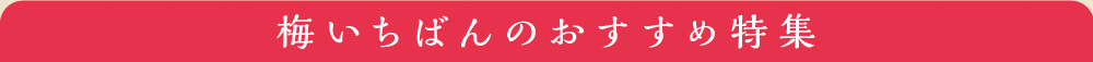 梅いちばんのおすすめ特集