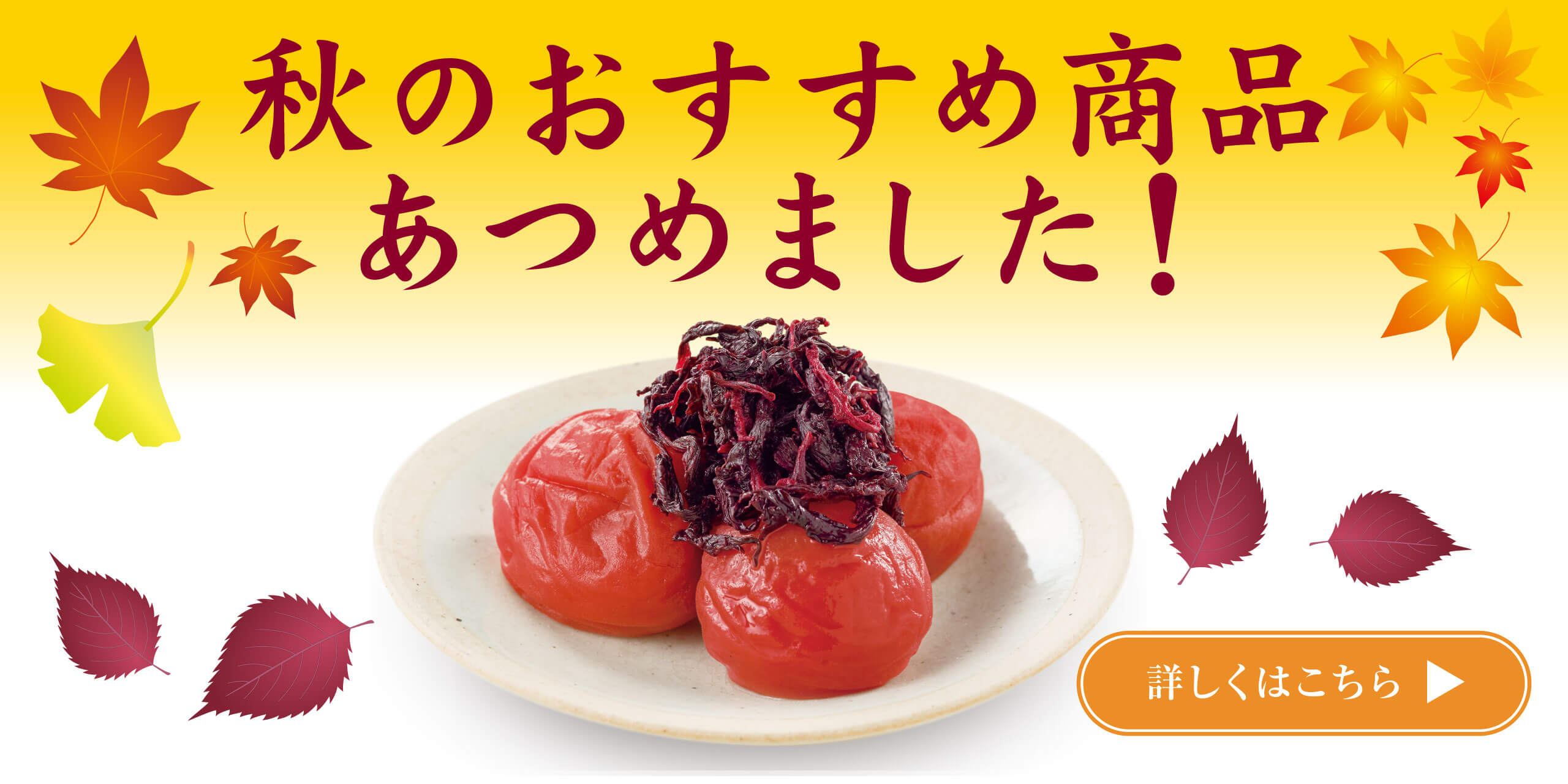 秋のおすすめ商品あつめました！