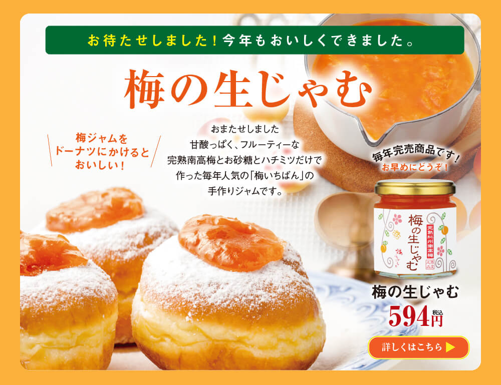 梅の生じゃむ