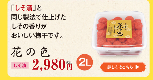  花の色(しそ漬け) 550g